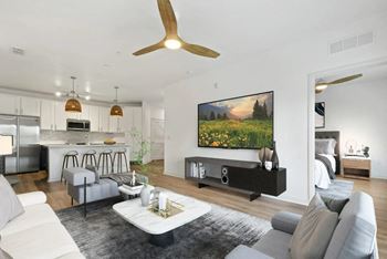 Paddle fans in living rooms and bedrooms